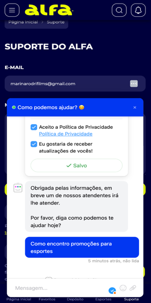 Imagem com a tela de uma conversa com o chat ao vivo