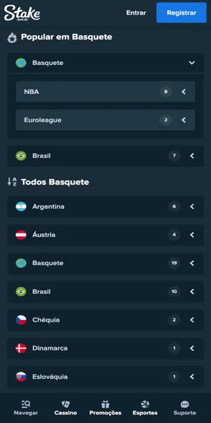 Imagem com as possibilidades de apostas no basquete por pa&iacute;s na Stake