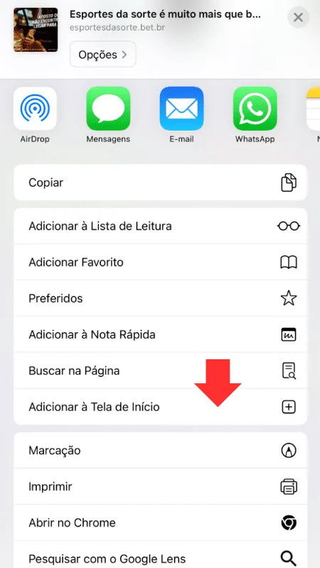 Tela com atalho para usar a Esportes da Sorte no sistema iOS