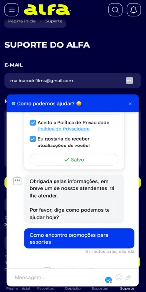 Imagem com a tela de uma conversa com o chat ao vivo