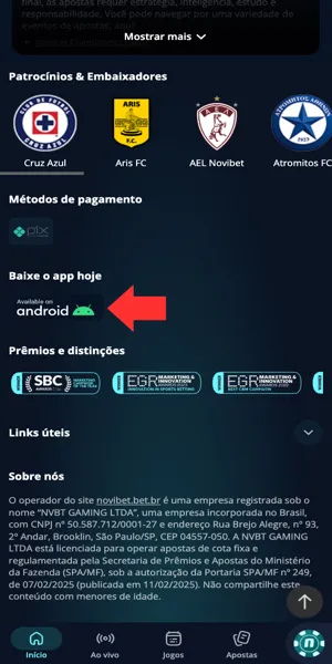 Ícone do Android na página inicial da Novibet para baixar aplicativo