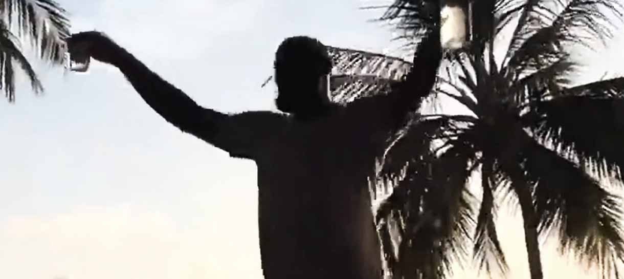 LeBron James curte a vida adoidado durante playoffs da NBA