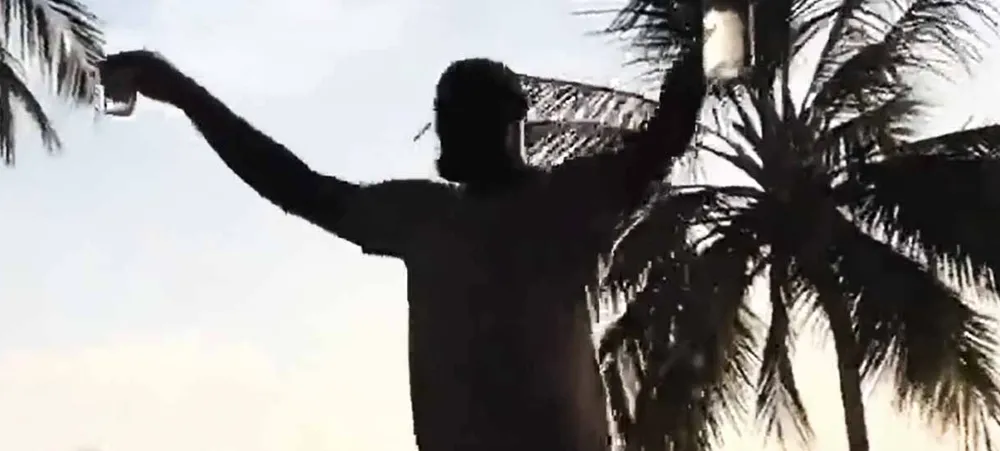 LeBron James curte a vida adoidado durante playoffs da NBA